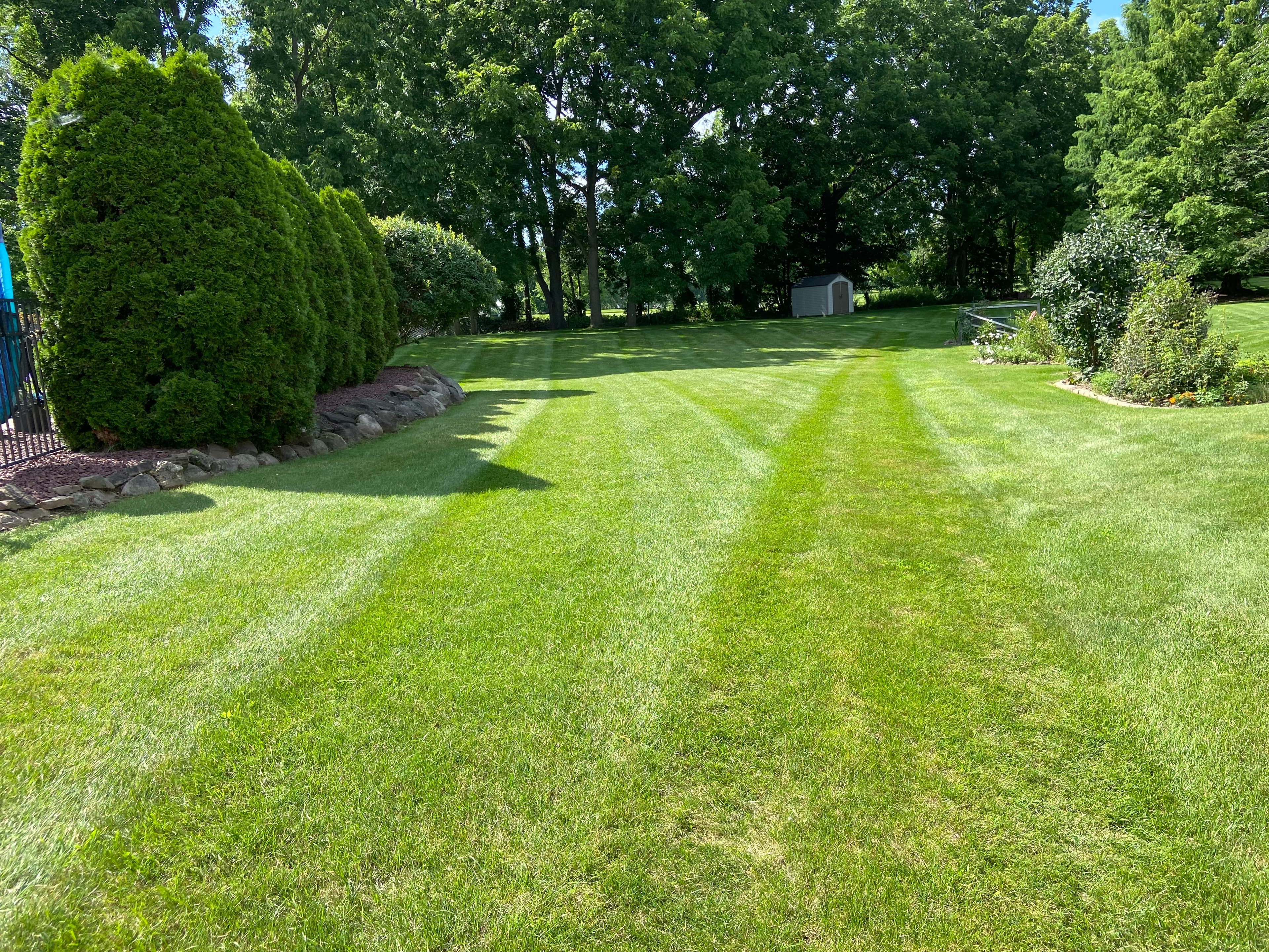 lawn
